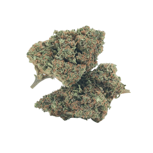 Bruce Banner CBD - Fleurs Greenhouse