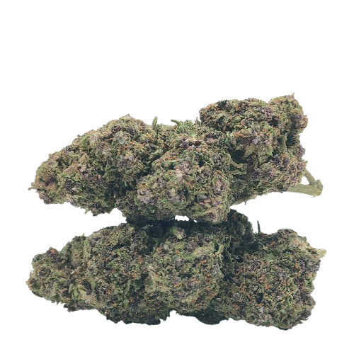 Purple Punch CBD - Fleurs Greenhouse